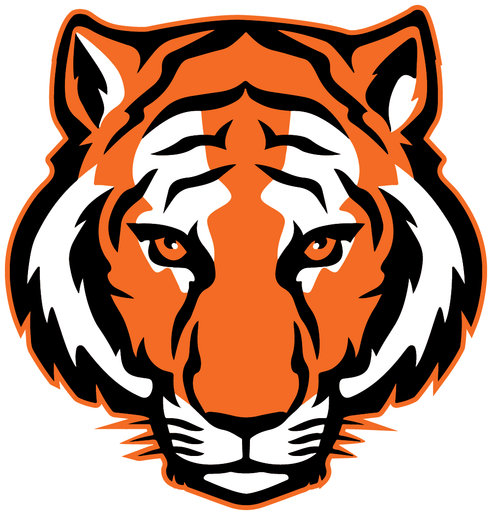 This is a tiger face. 